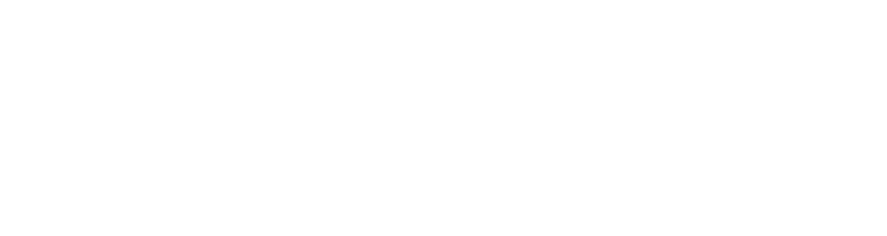 Logo of S2G Consulting featuring a modern design with the company name prominently displayed.
